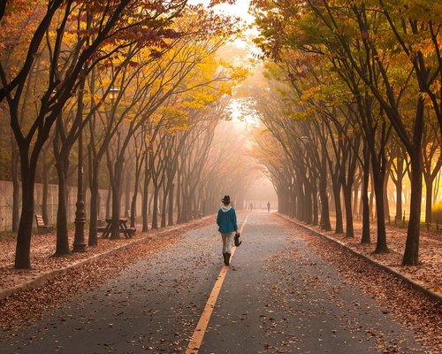 calm walk through an Indonesian city park